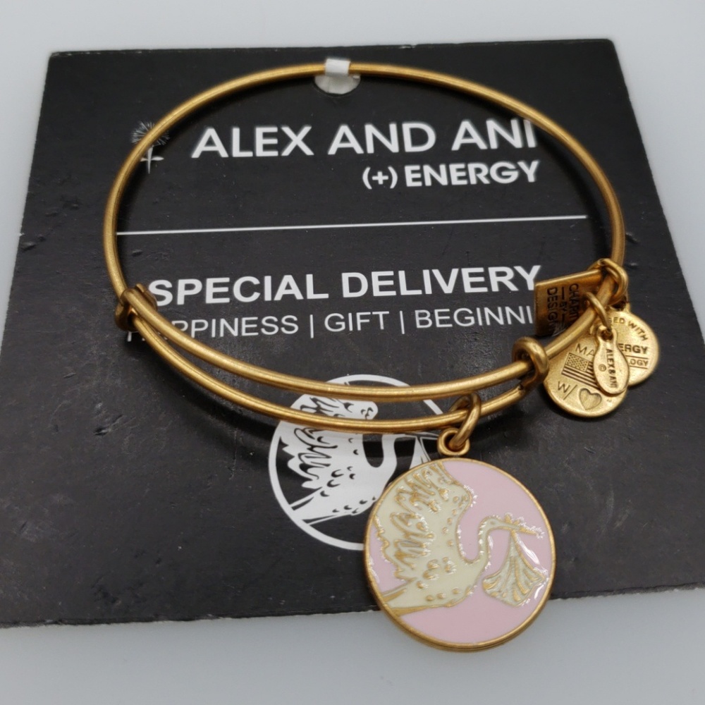 NWT Alex and Ani Special Delivery bangle
